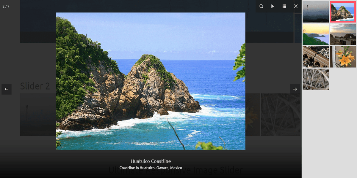 Ultimate Image Slider Pro lizar