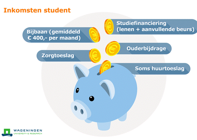 Aanvullende Beurs, Hoe Werkt Dat? - Studiekeuzekind