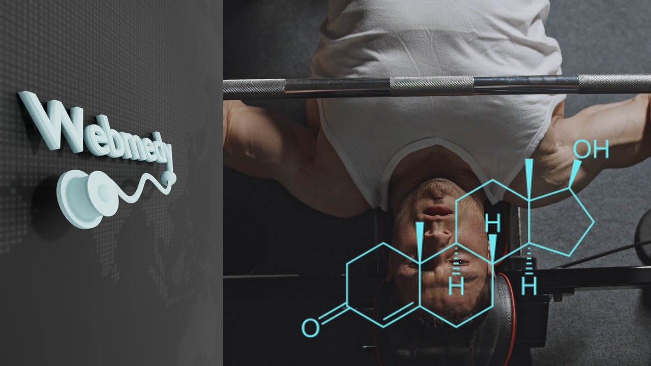 Best Foods to Boost Testosterone