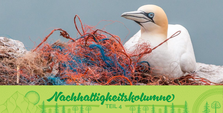 Auswirkungen von Plastikmüll auf Tiere und Pflanzen