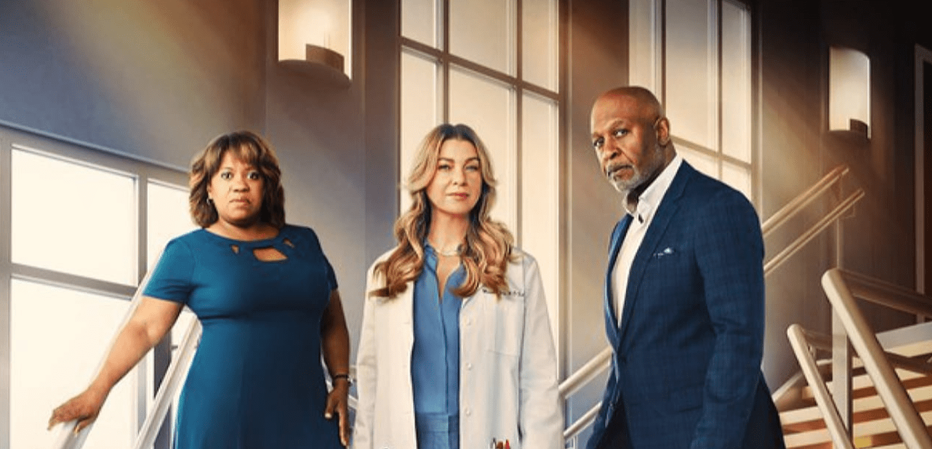 Grey's Anatomy Season 19 When will it release on Netflix?
