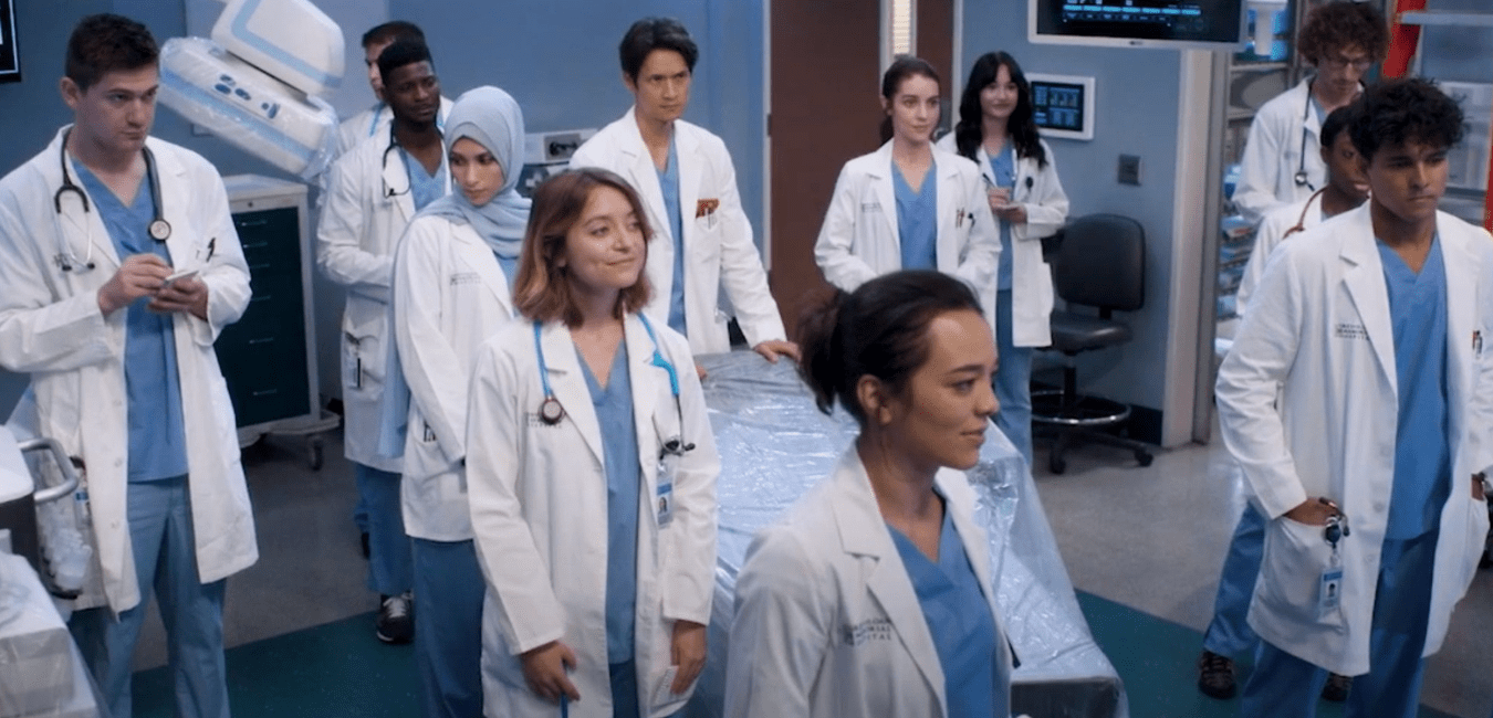 Grey's Anatomy Season 19 When will it release on Netflix?