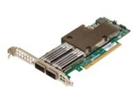 Broadcom NetXtreme E-Series P2100G - network adapter - PCIe 4.0 x16
