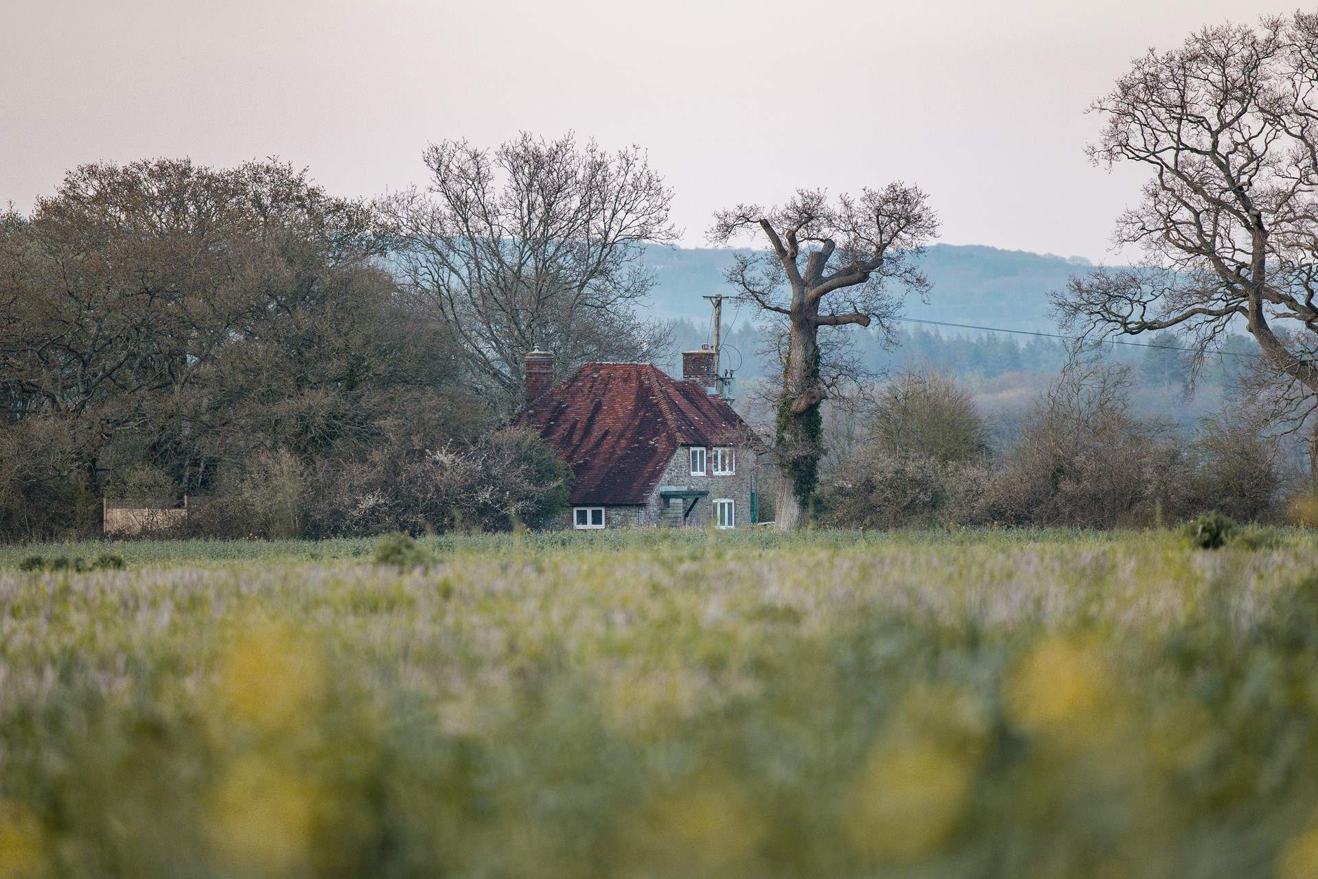 Apsley Cottage, Holiday Cottage Description Classic Cottages