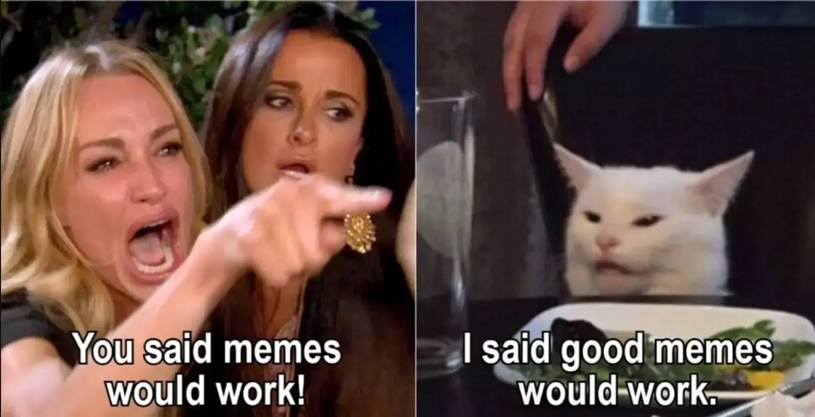 What Is A Meme? Definition, History, and Use Cases for Brands