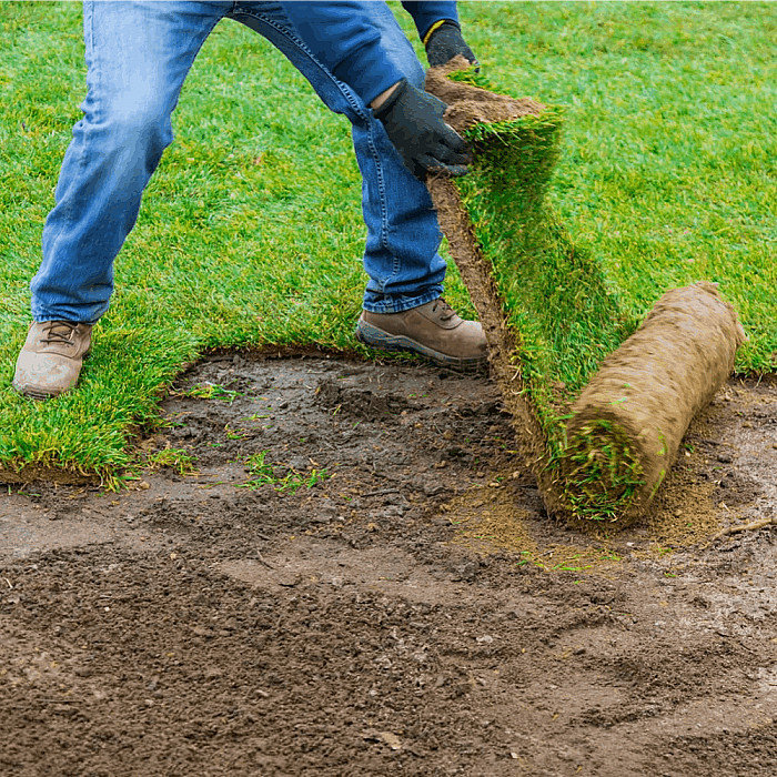 Wally Gazon Jardinier à Ougrée, Seraing et Province de Liège