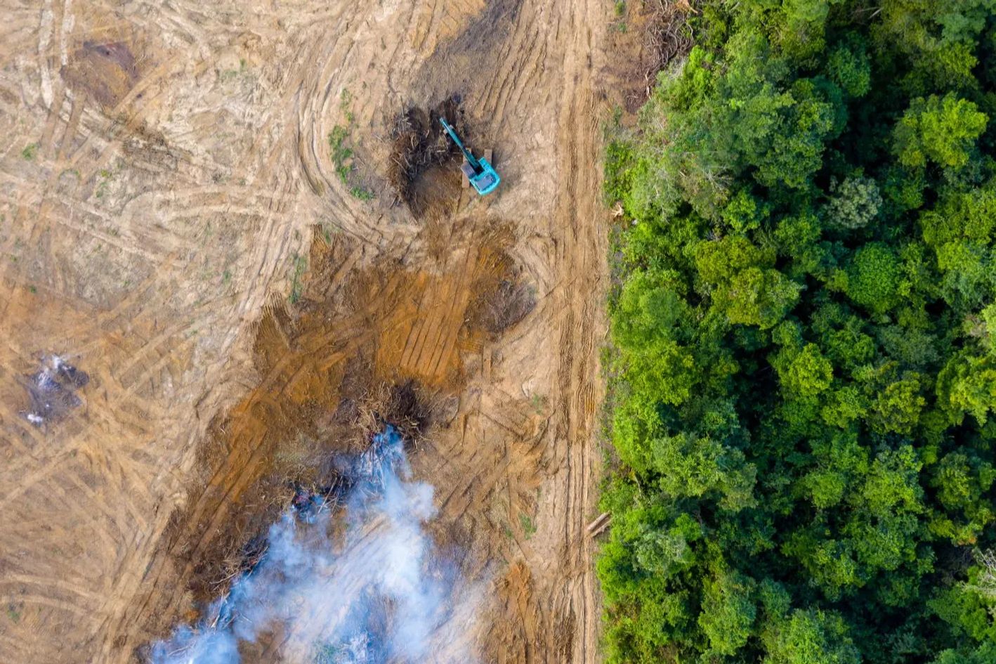 Mérieux NutriSciences Blonk Update of the Blonk Direct Land Use