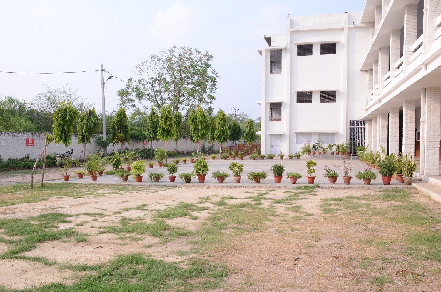 D.A.V. Degree College