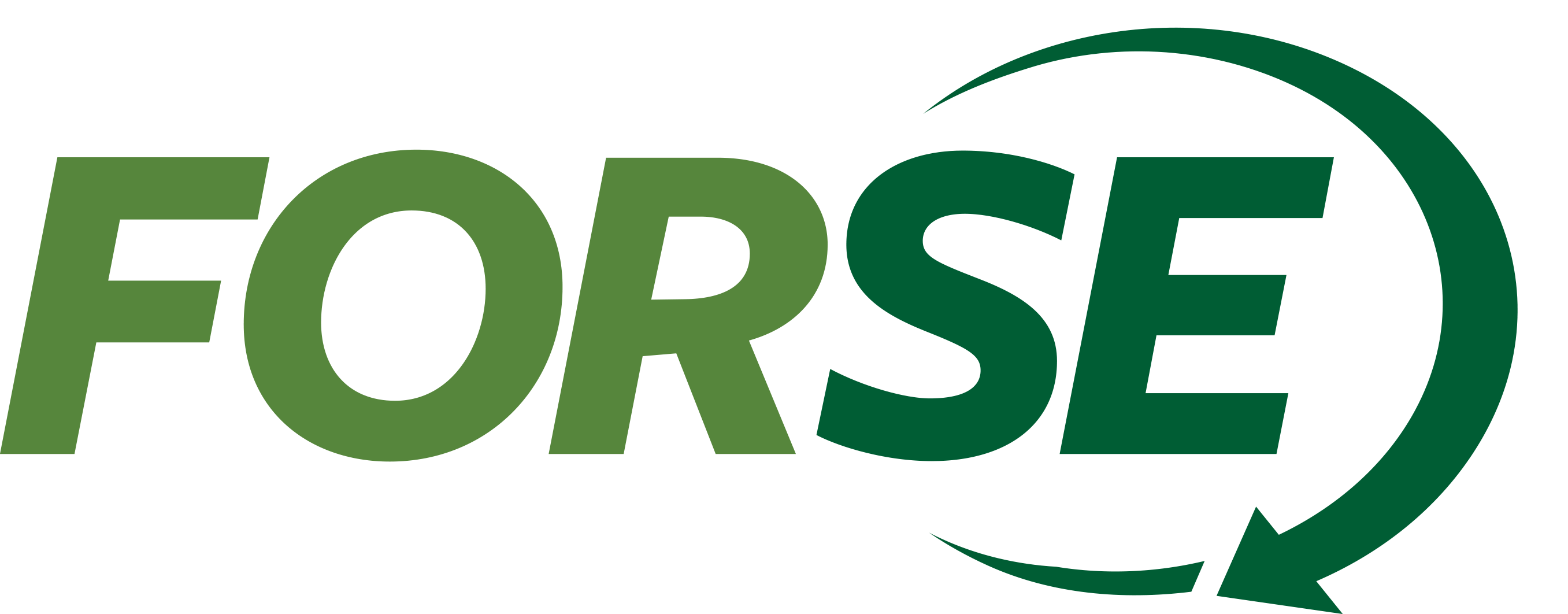 SE ASSISTANCE FORSE Consulting