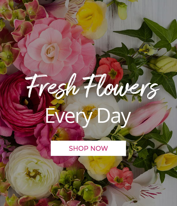 Florist Knoxville Tn 37919 Clinton Florist Oak Ridge Florist