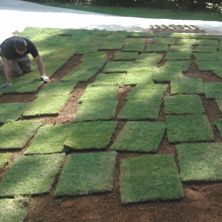 How to Lay Sod Simply Sod