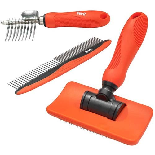 Goldendoodle Supplies Goldendoodle Express