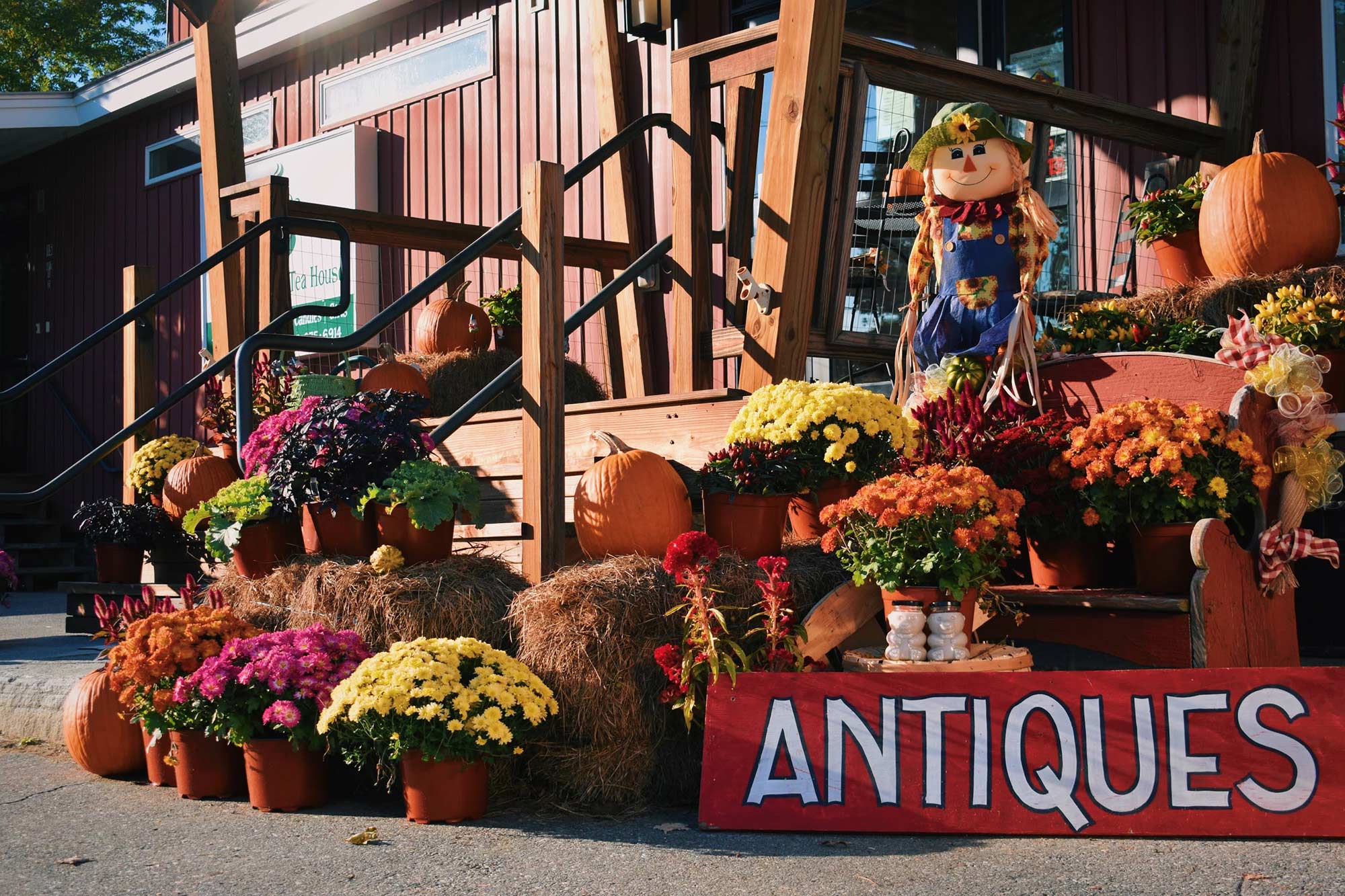 Gallery The Vermont Tea House