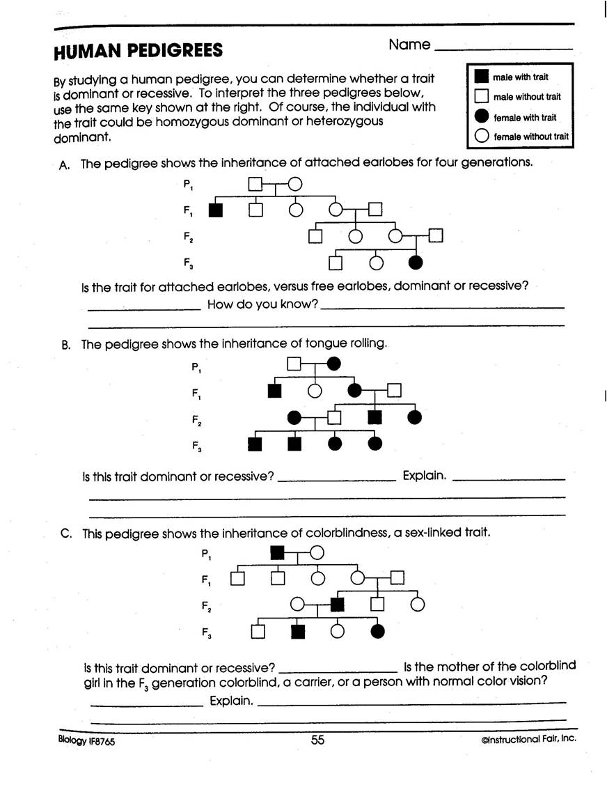 Answer by giving individual chromosome numbers. Mechel Golenberke My First Website Chapter 14 1 14 2 Menu Home Home Page Science Literacy Back Science Literacy Science Literacy Reading In Science Resources Writing In Science Resources Reading In The Content Area Science Latin Greek