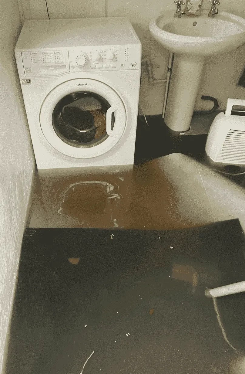 Flood Damage Repair in the North West Action Insurance Repair