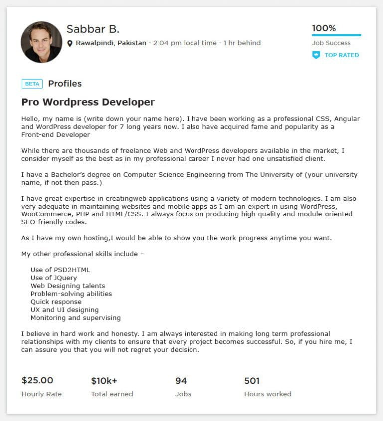 Upwork Overview Sample for Wordpress Developer Webson Job