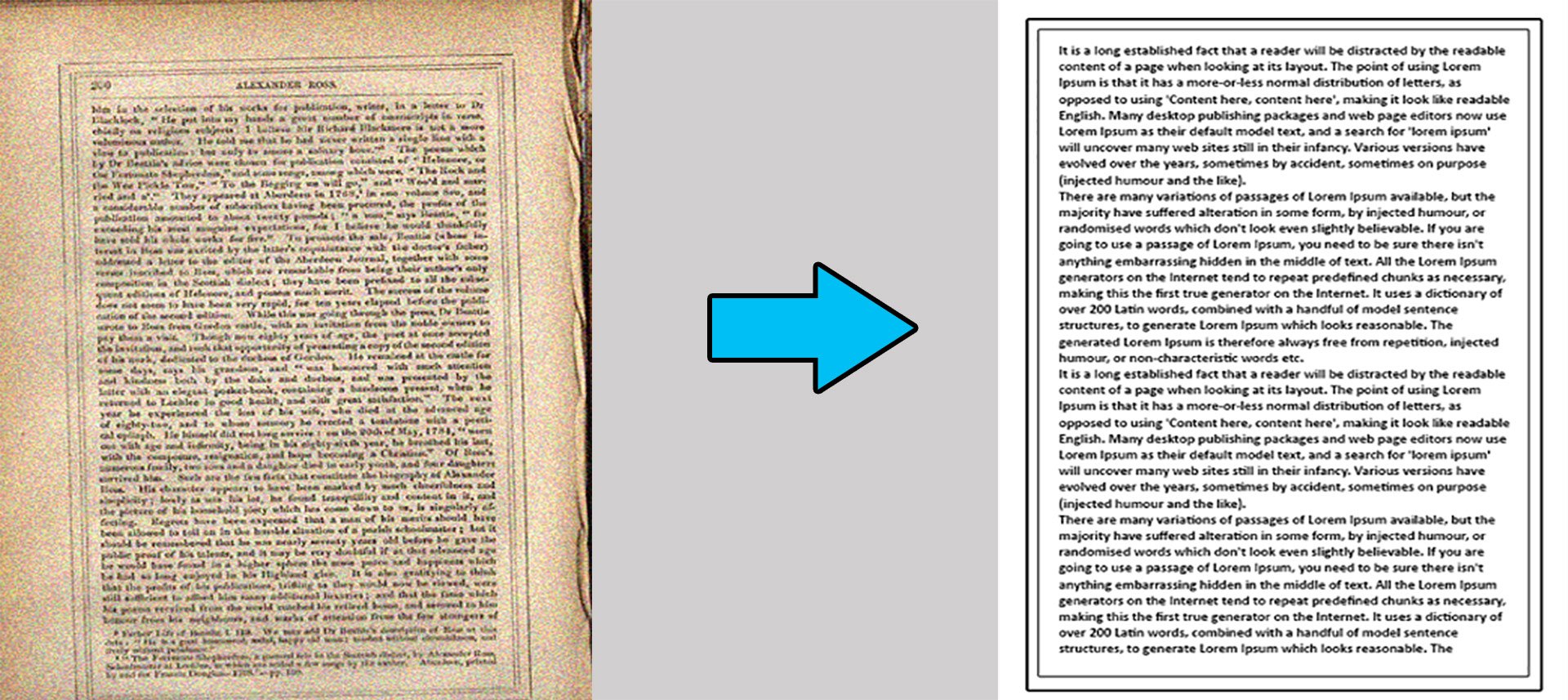 Data Entry Portfolio Samples for Upwork Freelancer son Job