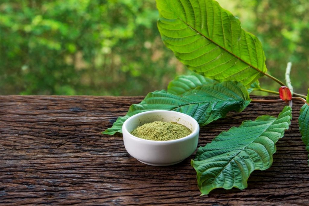 What does OPMS Kratom Mean? 2024 Guide Sta.ME