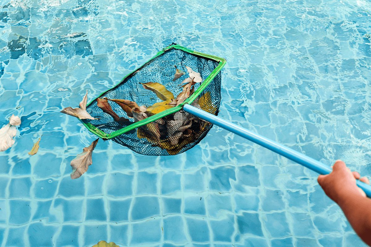 5 Tips for Choosing the Right Pool Shape for Your Backyard 2021 Guide
