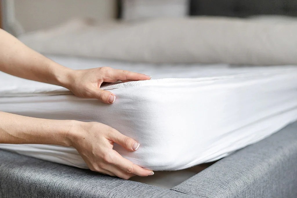 Firm Or Plush Mattress Which Is Better For Your Back Sta.ME