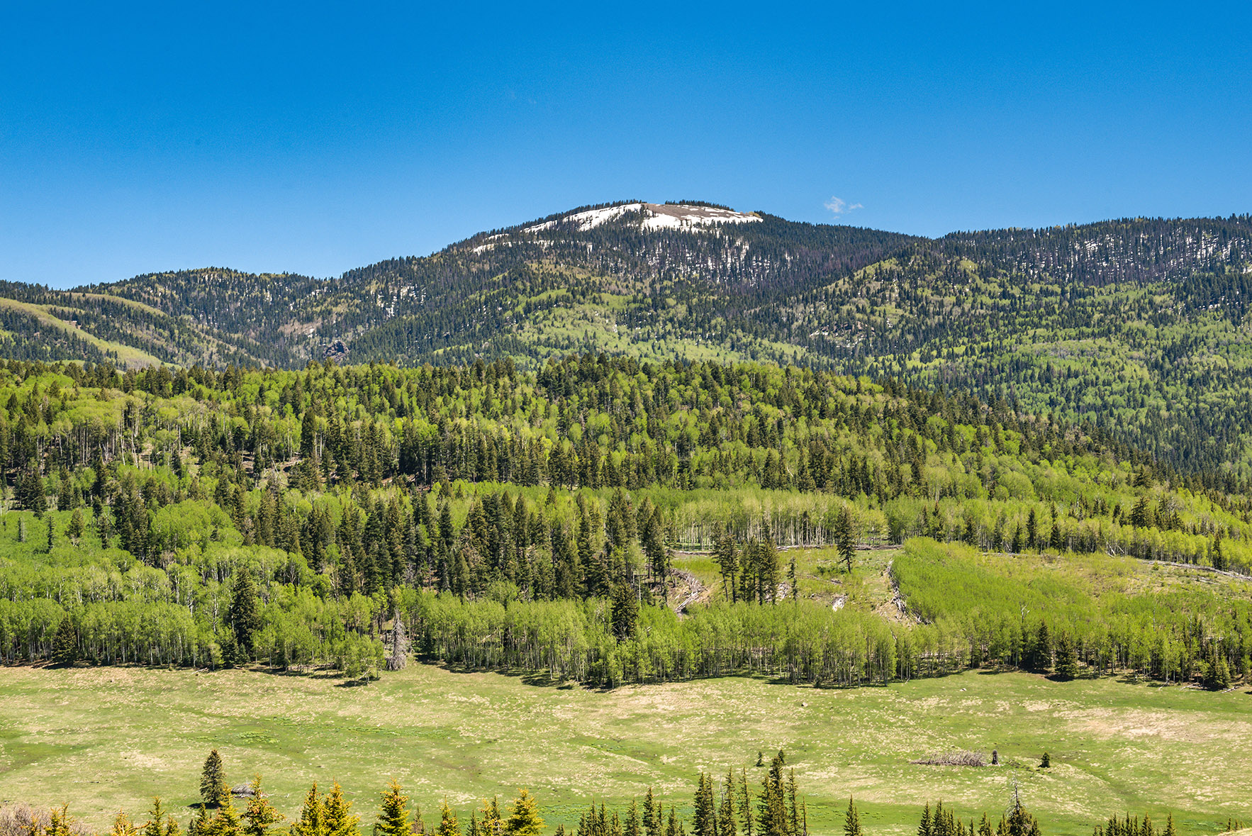 RANCHO DEL OSO PARDO, CHAMA, NEW MEXICO (OWNERSHIP INTERESTS) ster