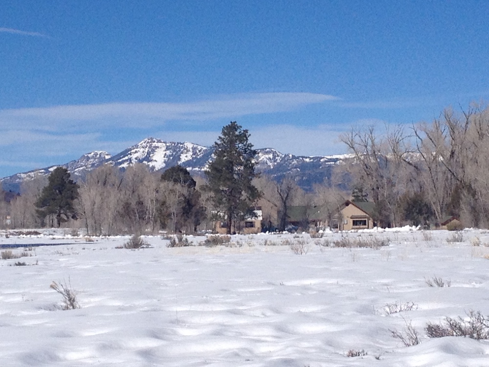 MAJESTIC CHAMA RIVER RANCH A LEGACY PROPERTY IN CHAMA, NM ster