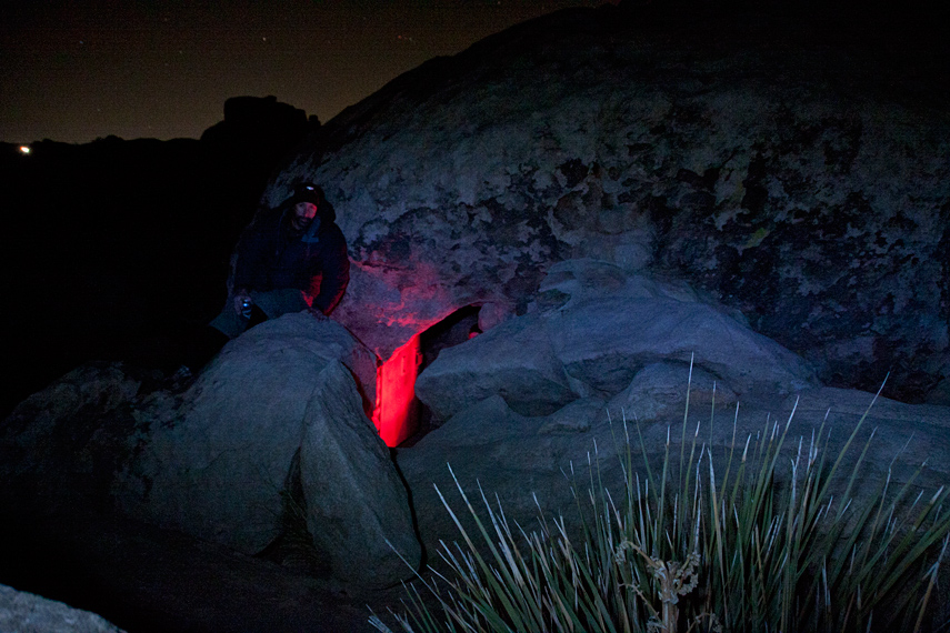 Joshua Tree Christmas 2011 ster Art