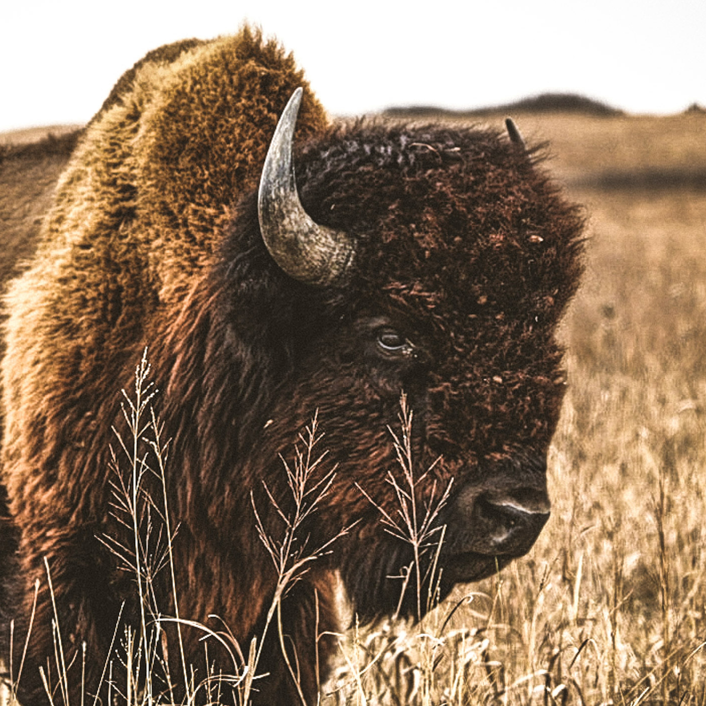 The ster Way ster Electric