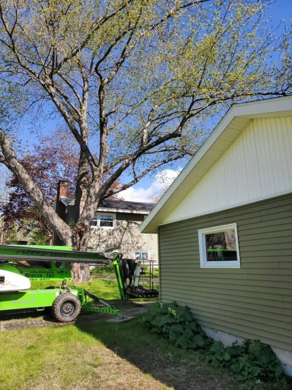 Job Application ster Tree Service