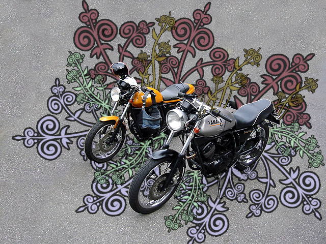 Motorcycles with Designs Under Them