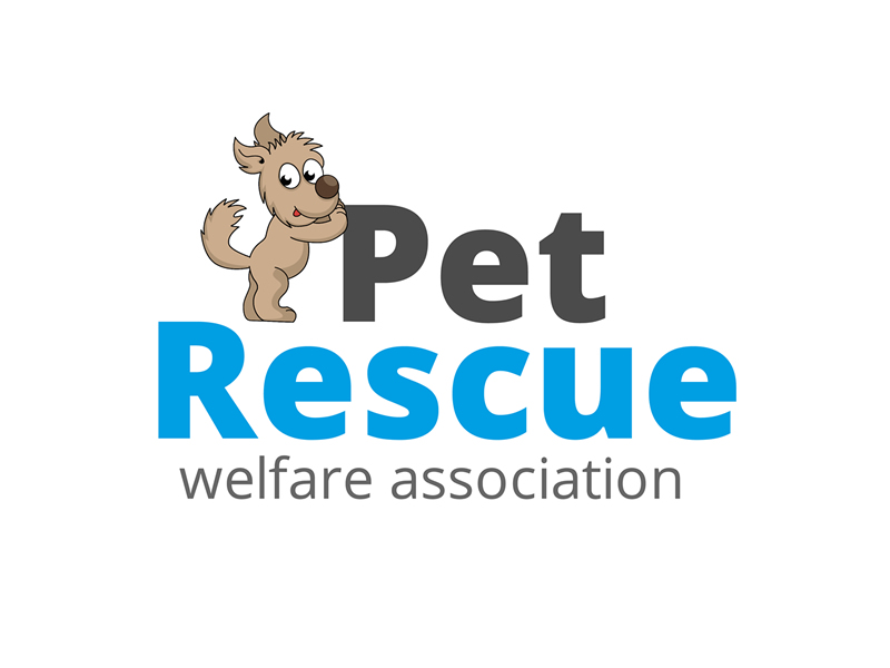 Pet Rescue Welfare Association  Studio North Wales