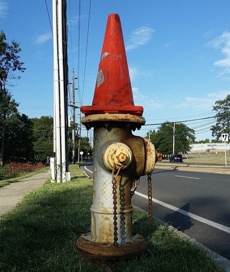 Cones on Poles Field Guide to Elevated Traffic Cones in Everyday