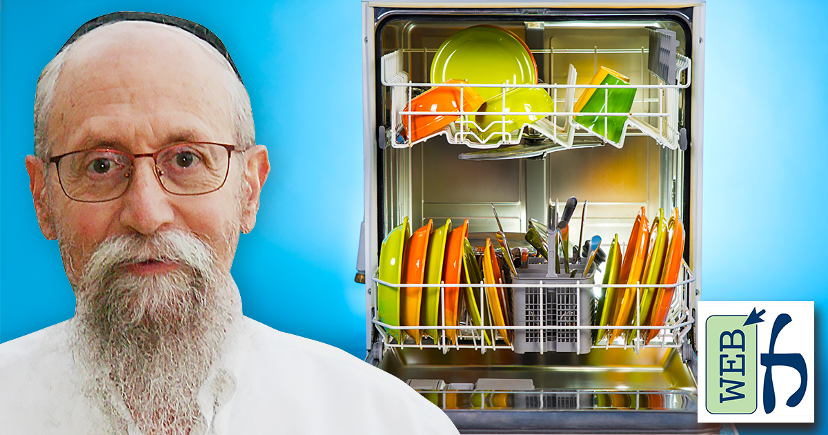 Dishwashers For Milk & Meat