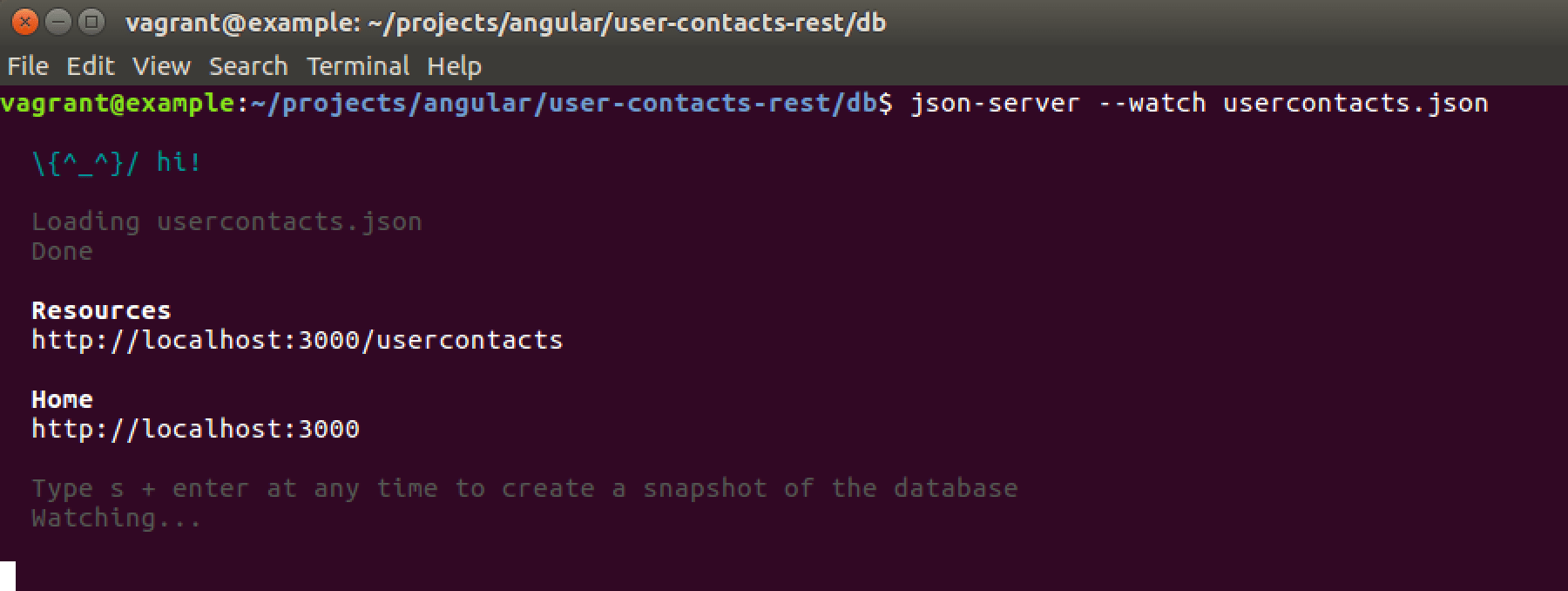 How to Fake or Mock an API with JSON Server