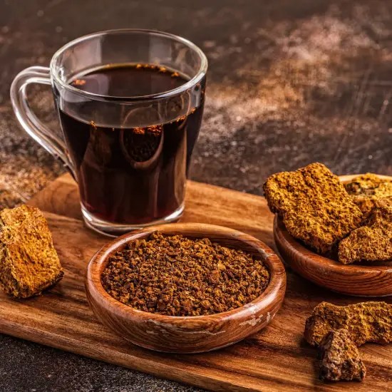 Chaga Tea What Does It Taste Like? Guide To Prepare Chaga Tea