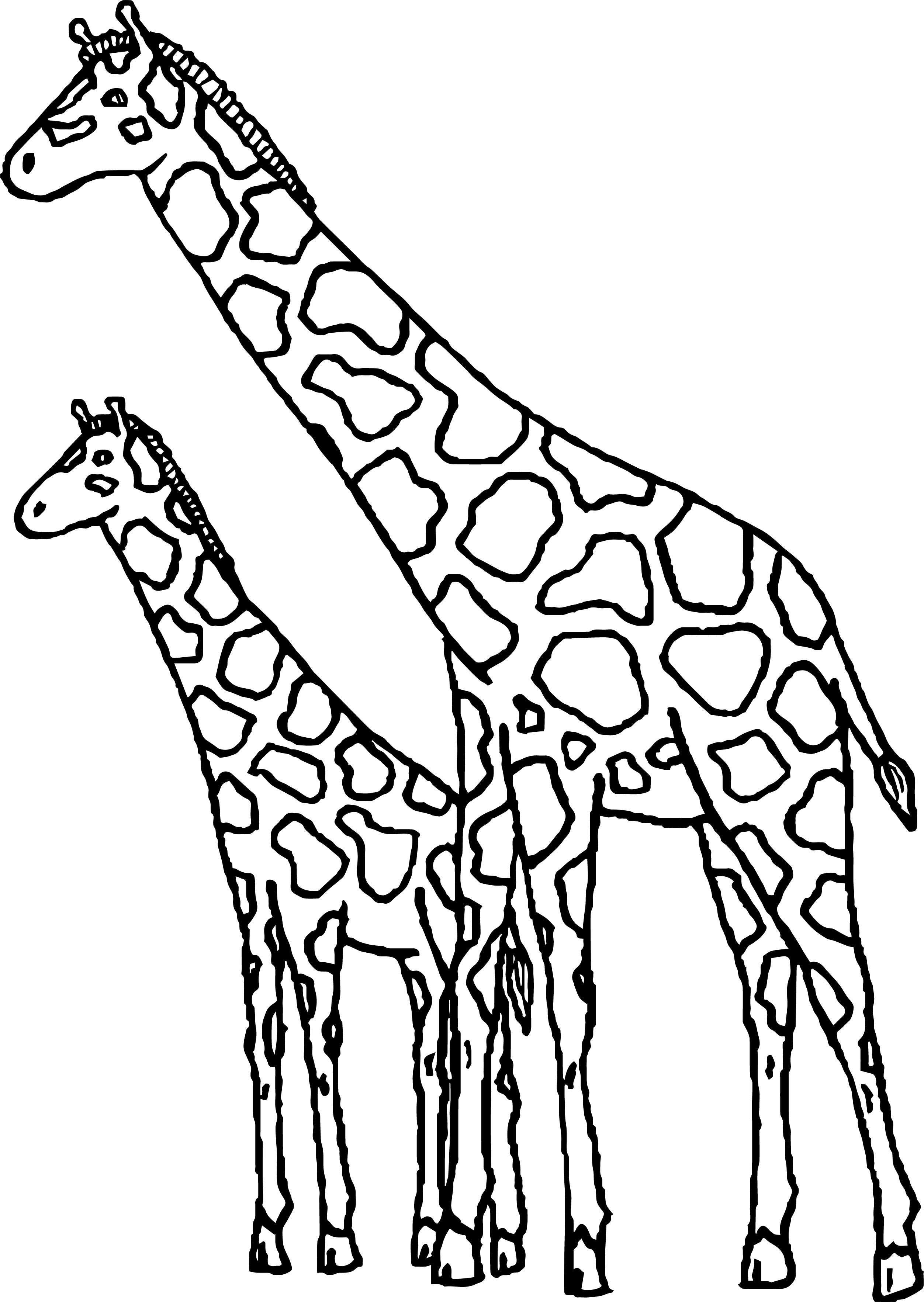 Two Giraffe Coloring Page