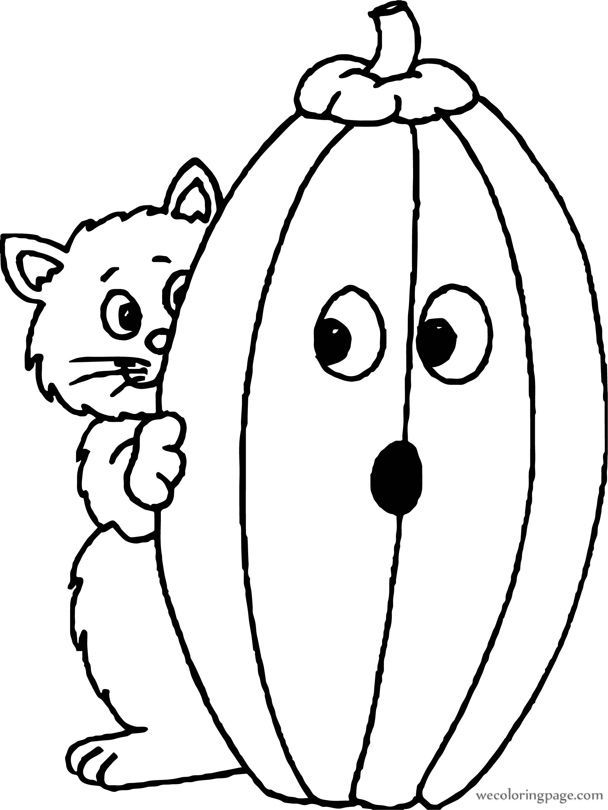 Cat And Pumpkin Coloring Page