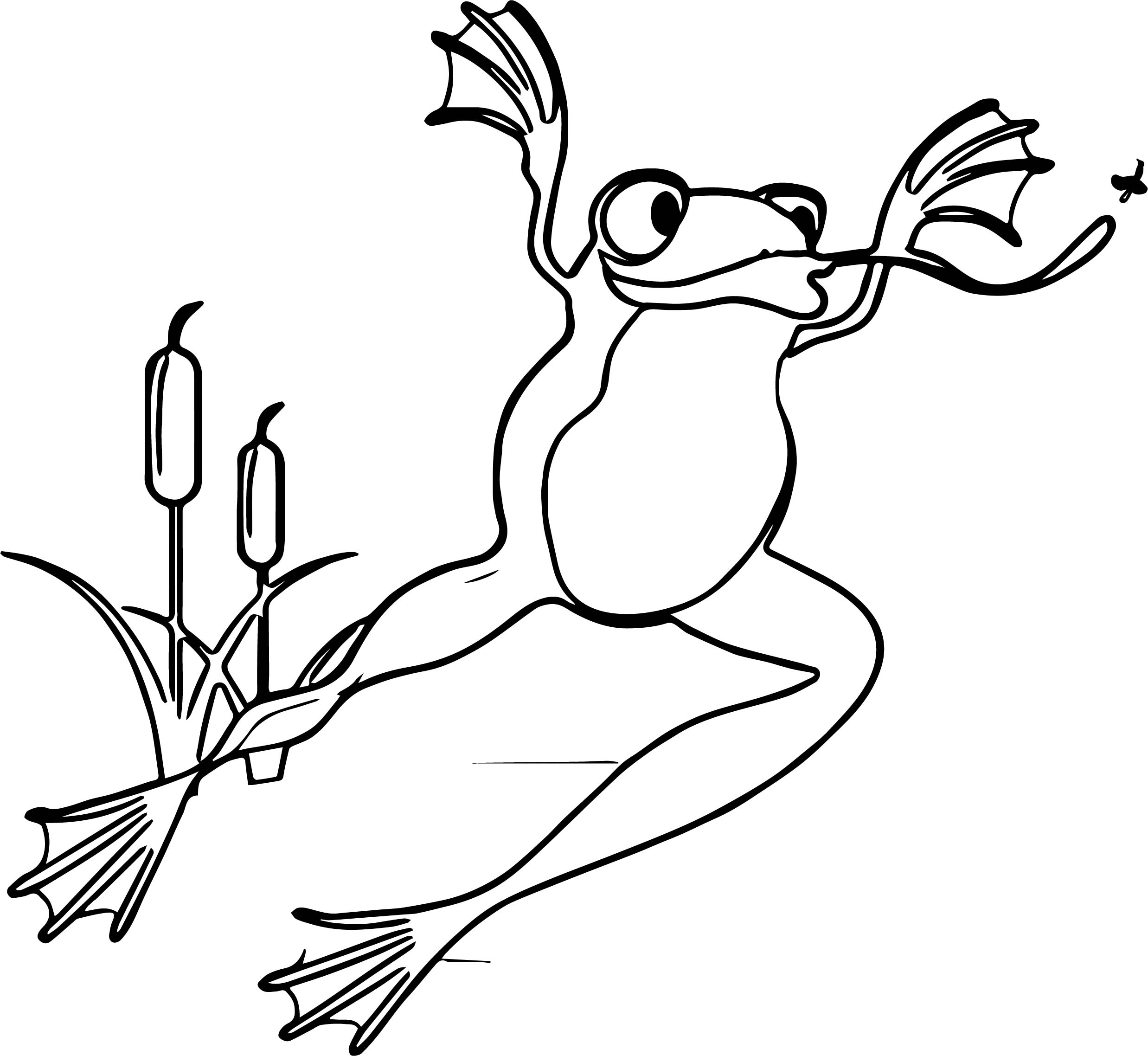 Frog Jump Coloring Page