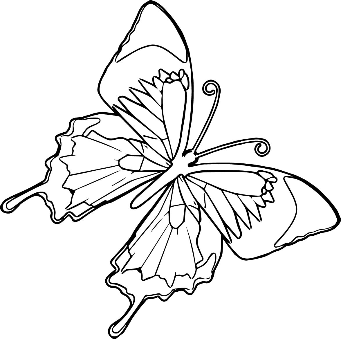 FREE! Mrs Printables TpT: Mariposa Butterfly Coloring page pdf