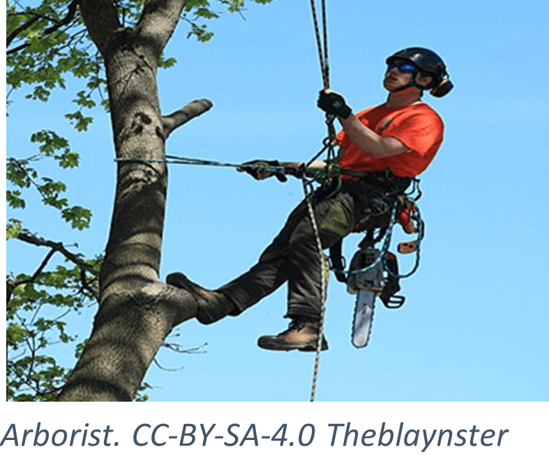 National Arborist Appreciation Day WeConservePA