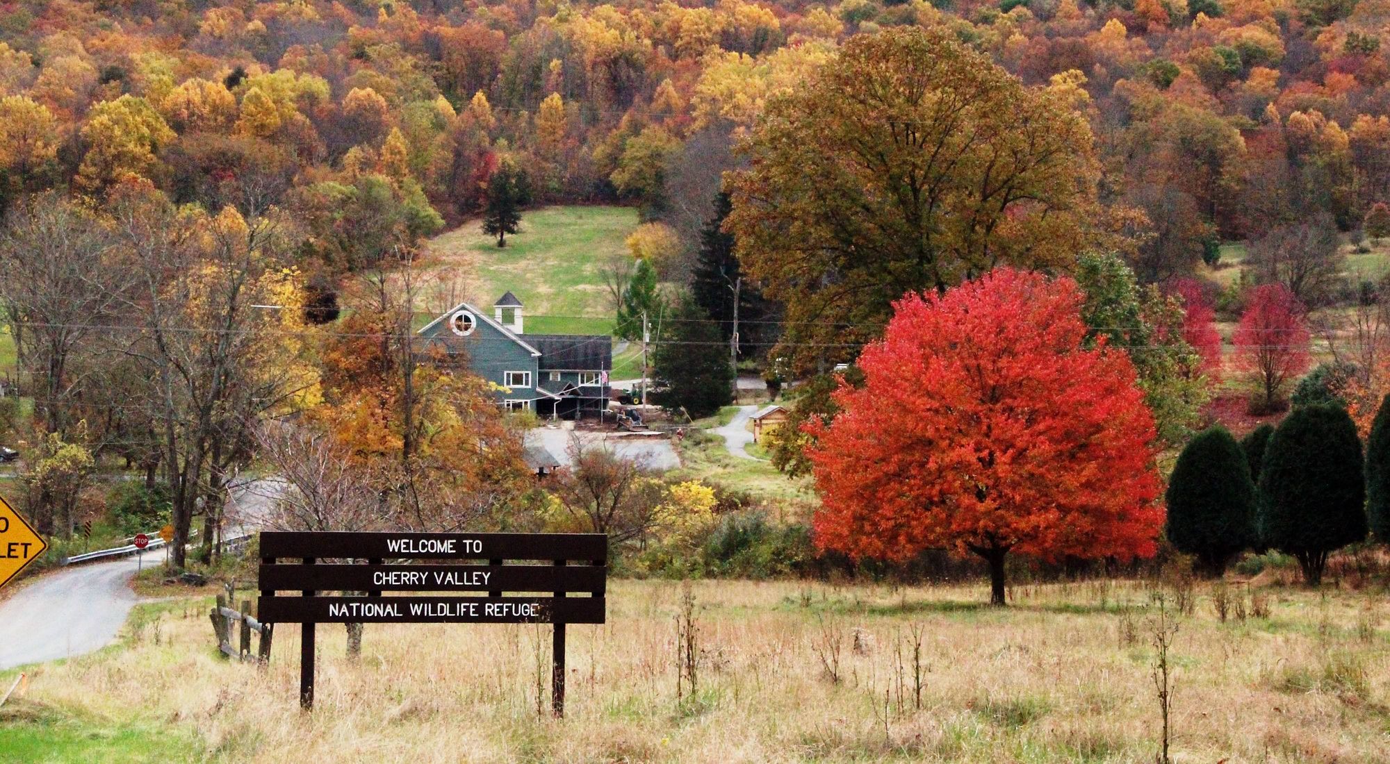 The Nature Conservancy Adds 78 Acres to Cherry Valley National Wildlife