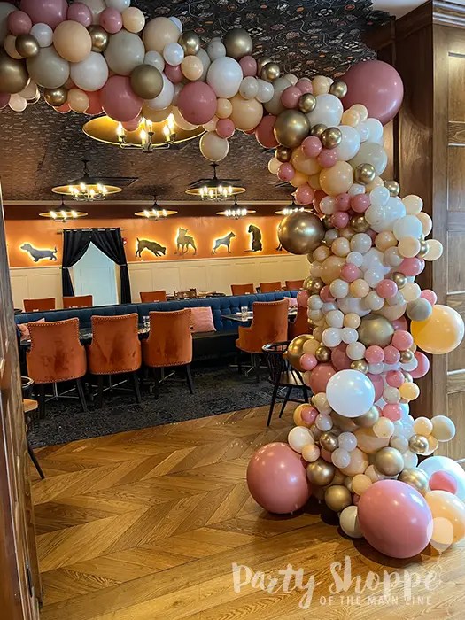 Wayne Balloon Arches PA 19087 Wayne PA Balloon Arches Balloon