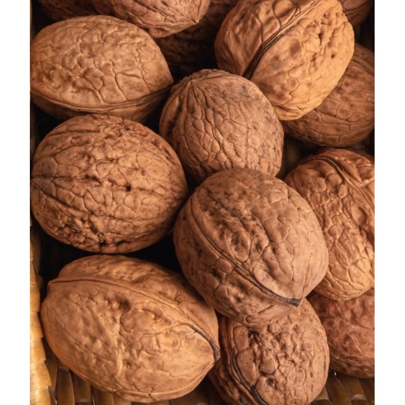 Walnut 1L