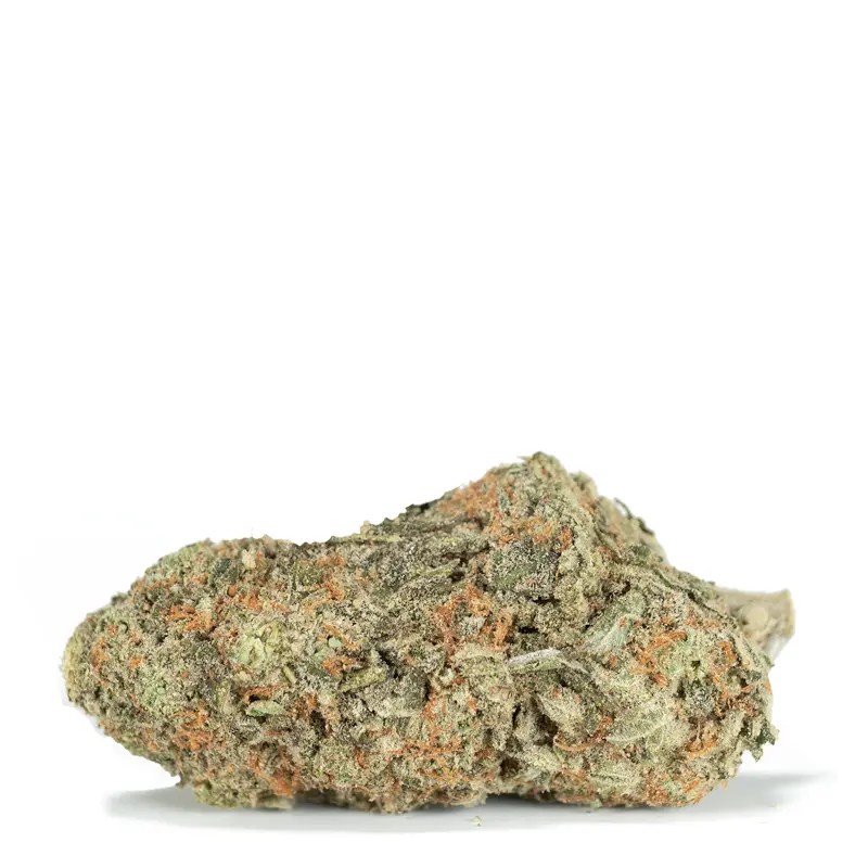 Sugar Cookies Strain by Weed Deals Low as 3.05 a gram