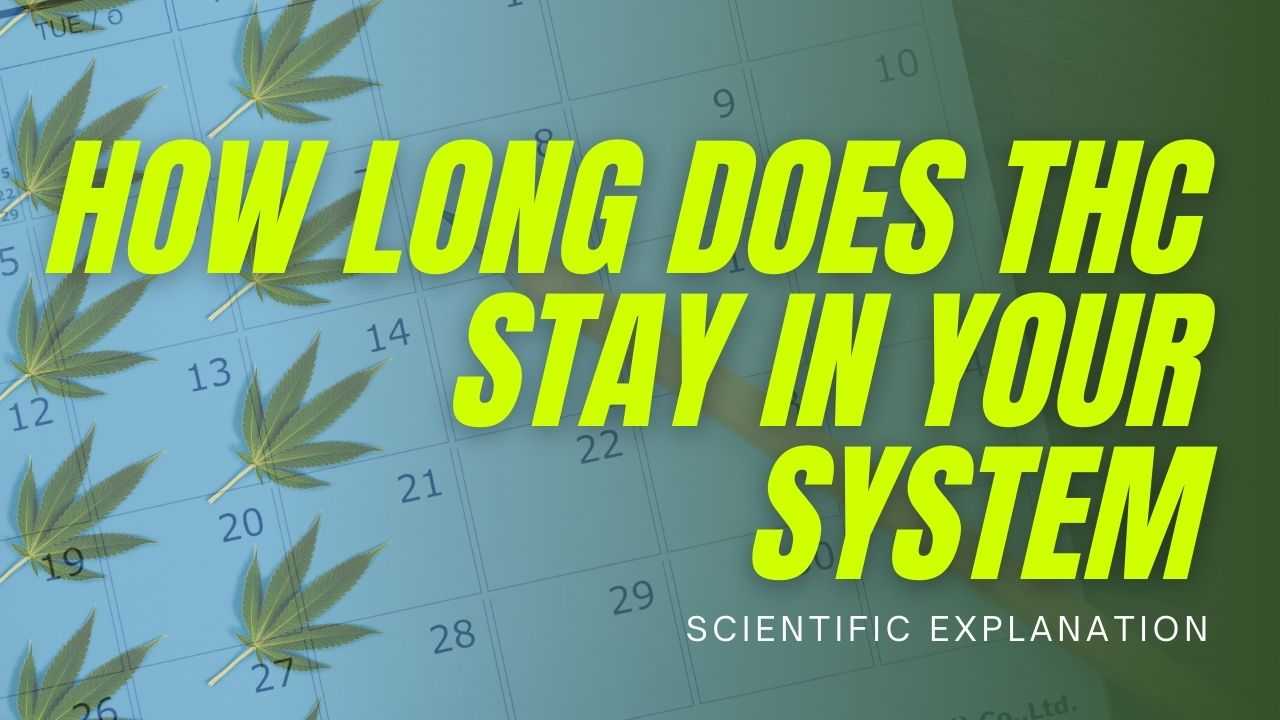 WeedSmart The best place to learn about Cannabis.