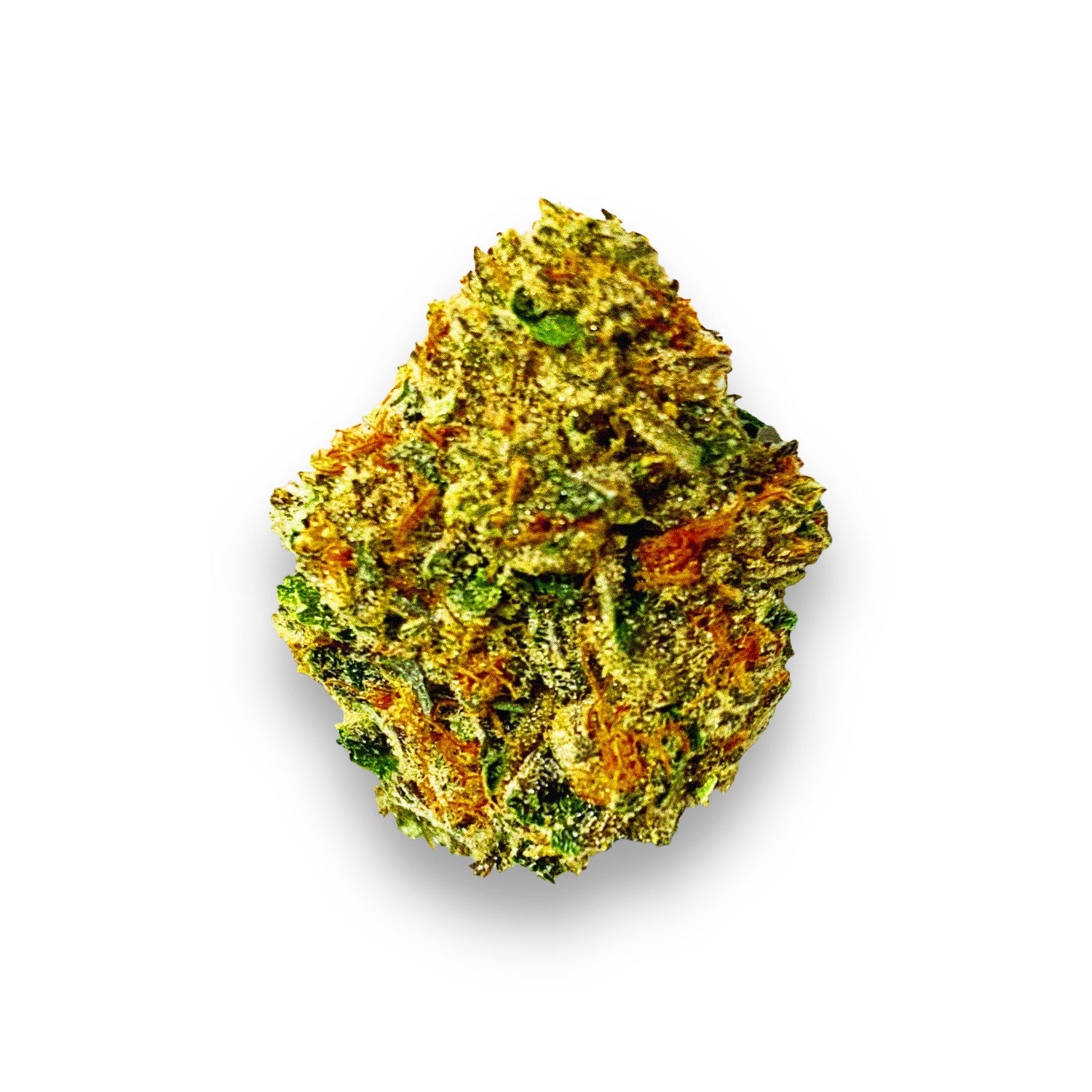 Sunset Sherbert Strain