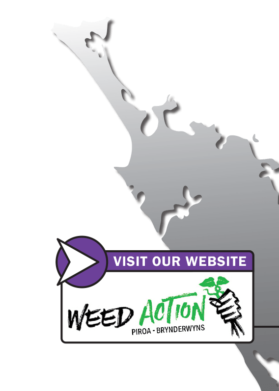 Weed Action Whangarei Heads