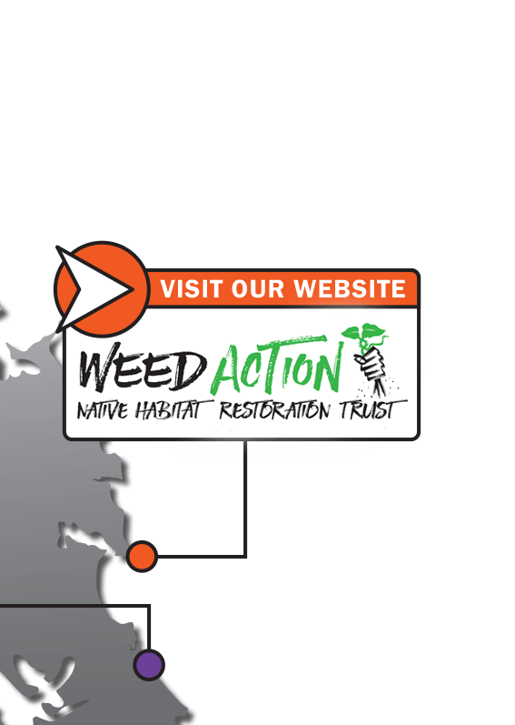 Weed Action Whangarei Heads