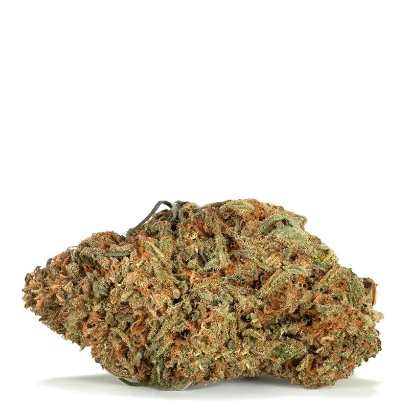 Orangeade Strain Weedapproach