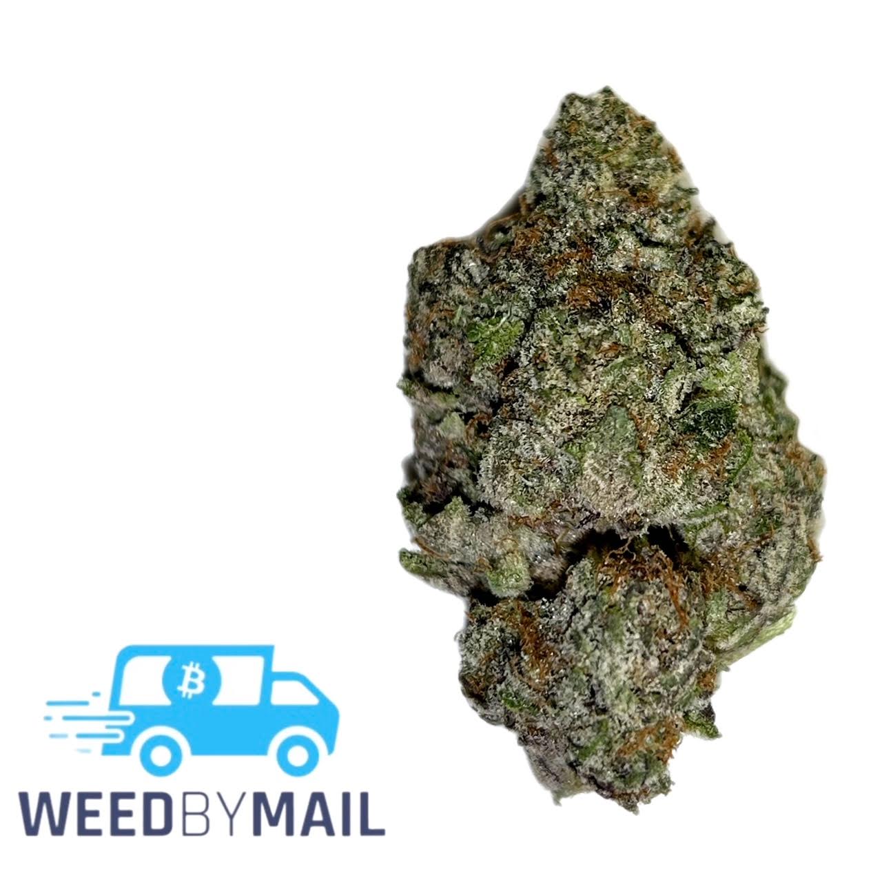 Exclusive Shelf Kings Kush (31.92 THC) Indica WeedByMail